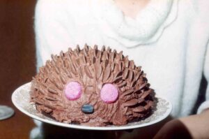 Chocolate Birthday Hedgehog
