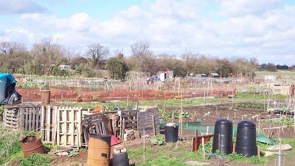 South Fen allotments