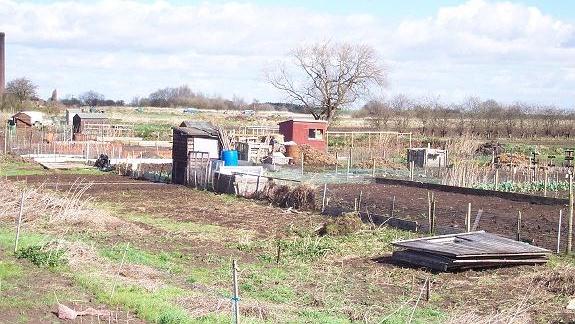 South Fen allotments