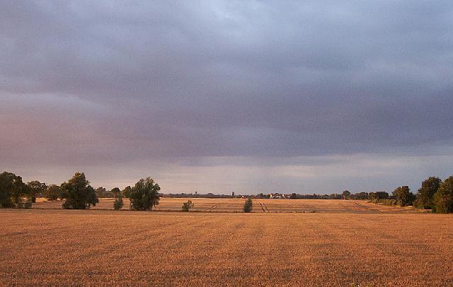 Evening over the fen
