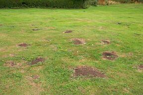 Post holes