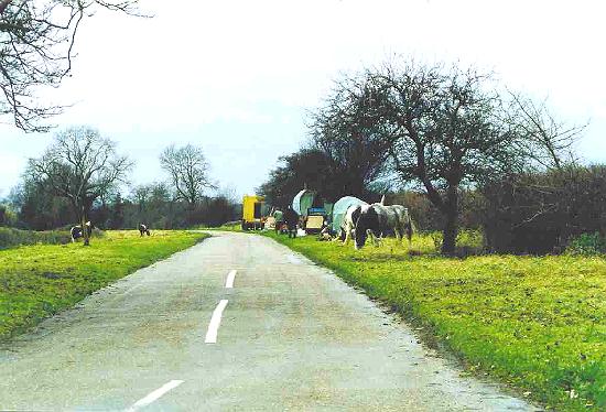 Gypsies at Cawthorpe