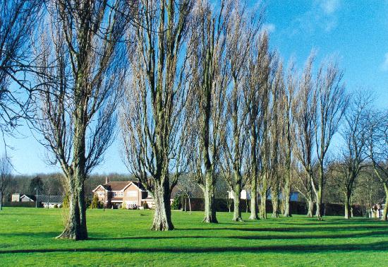 Poplars mark the former entrance