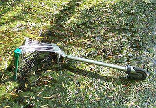 Shopping trolley dumped in St Peter's Pool
