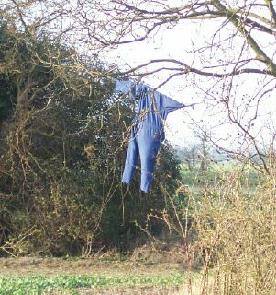 Aerial scarecrow.
