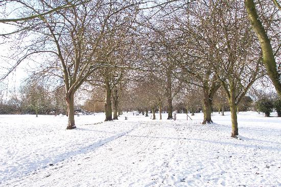 Winter in the Wellhead Gardens