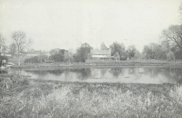 The pool circa 1970