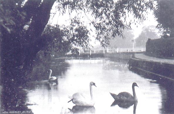 The pool in 1900