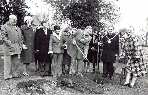 Tree planting in 1978