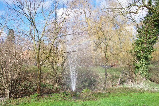 Water cress borehole burst