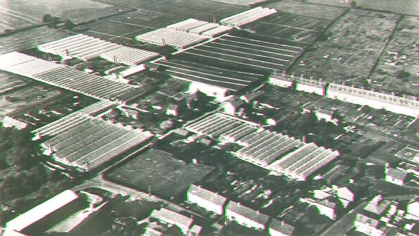 The glasshouse complex in 1973